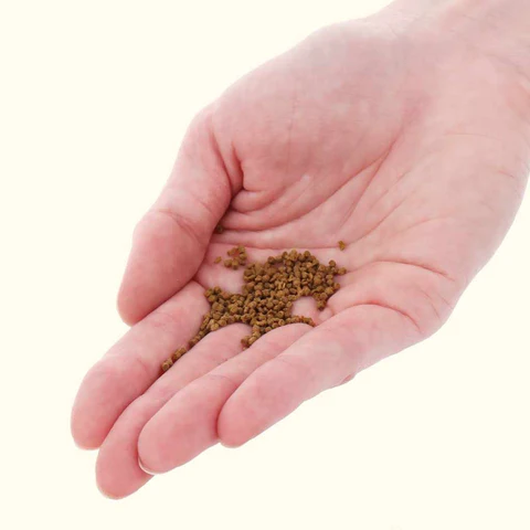 Fish pellet in the hand
