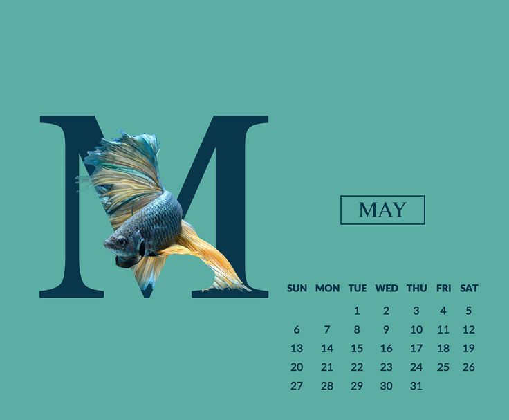 Fish Calendar