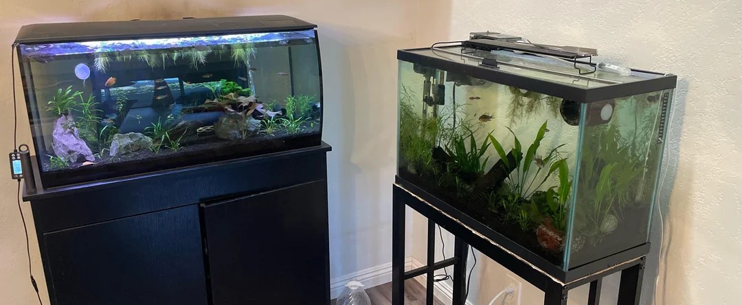 Freshwater fish tank and Marine fish tank