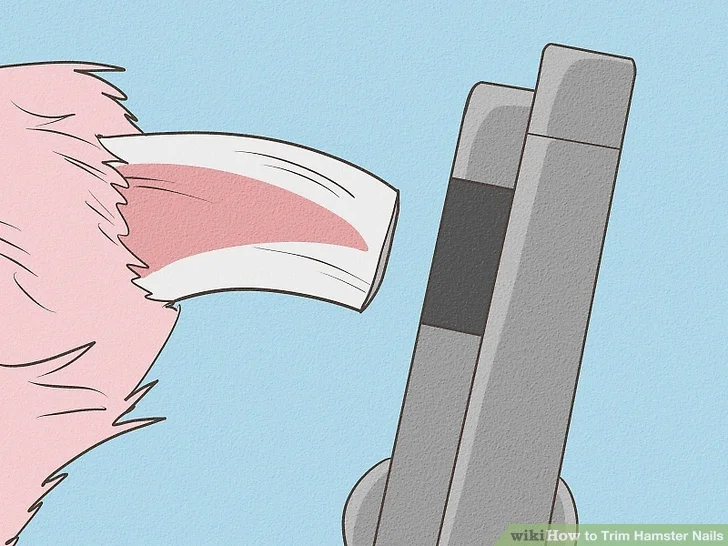 Woman using scissors to groom a dog