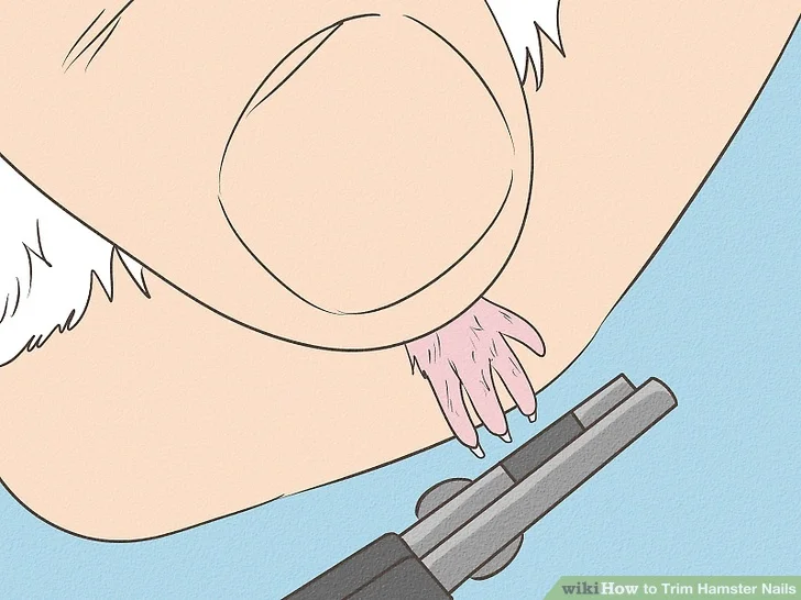 Woman using scissors to groom a dog