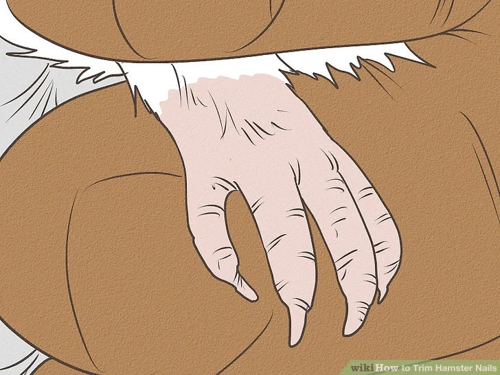 Woman using scissors to groom a dog