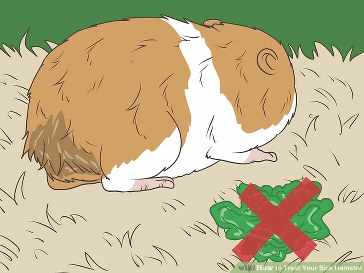 A hamster with a respiratory problem