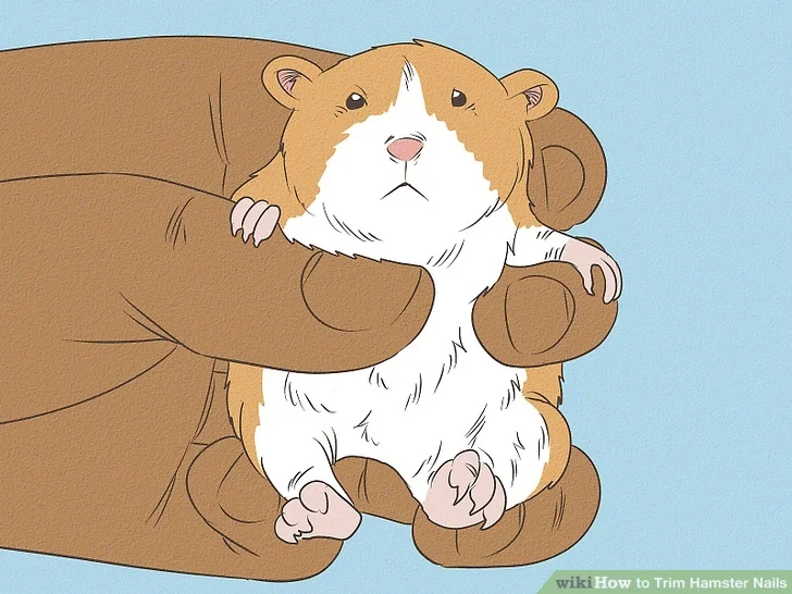 Woman using scissors to groom a dog