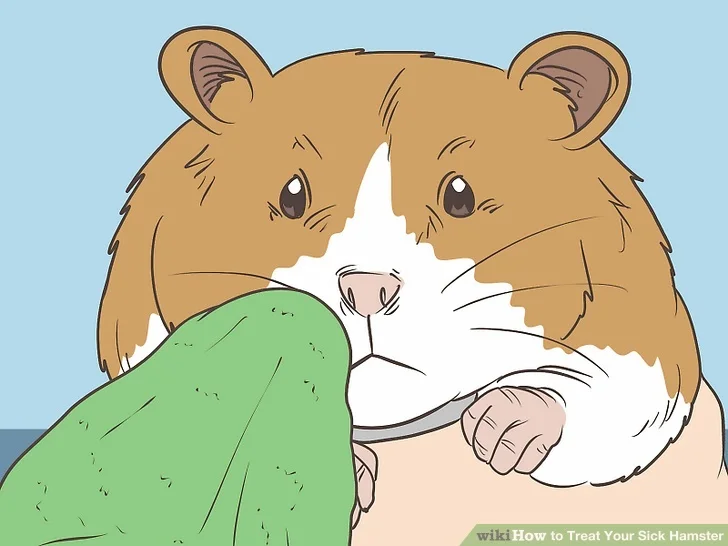 A hamster with a respiratory problem